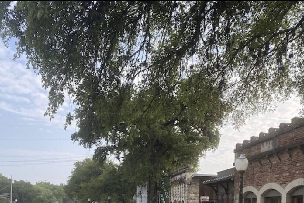 Photo of Outdoor in Salado