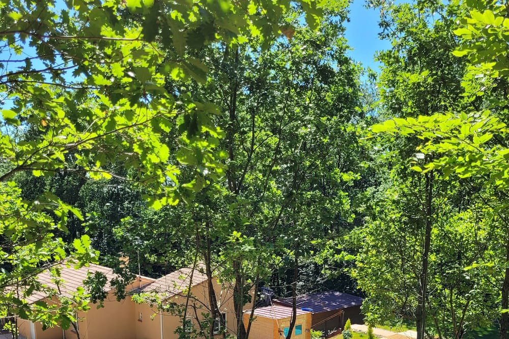 Photo of Outdoor in Castelnau-de-Montmiral