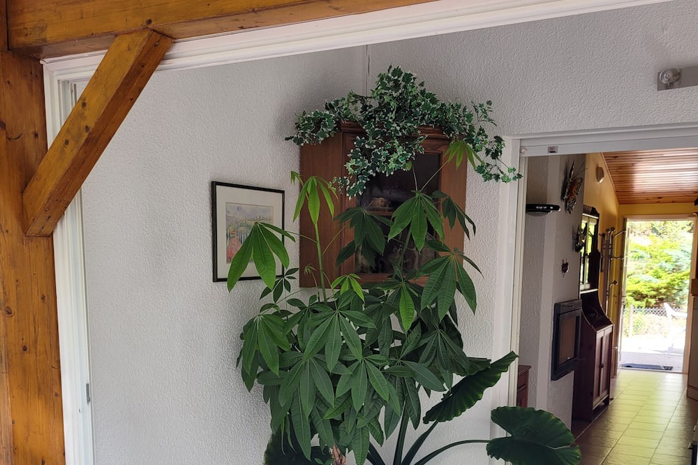 Photo of Others in Castelnau-de-Montmiral