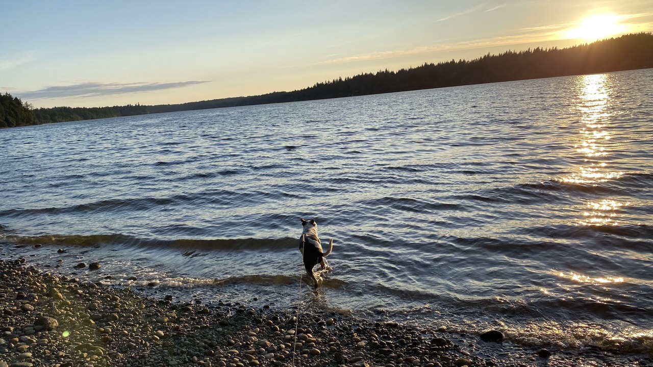 Photo of Others in Burley