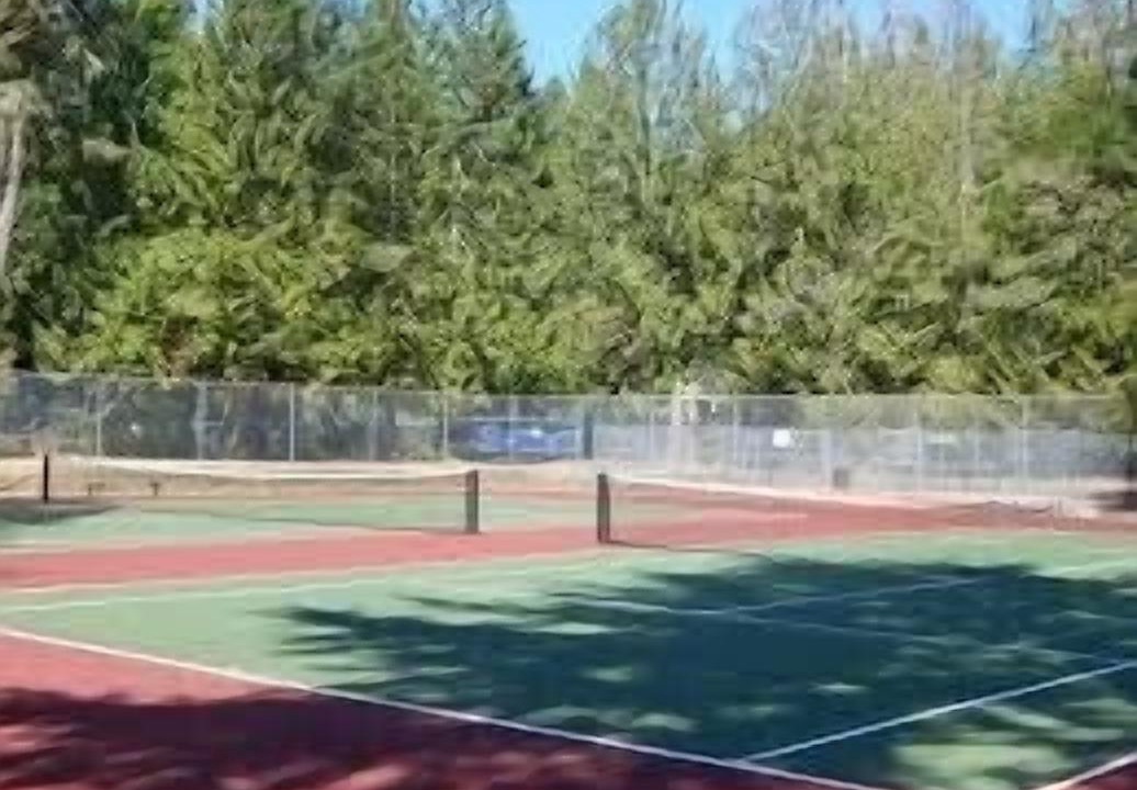 Photo of Others in Burley