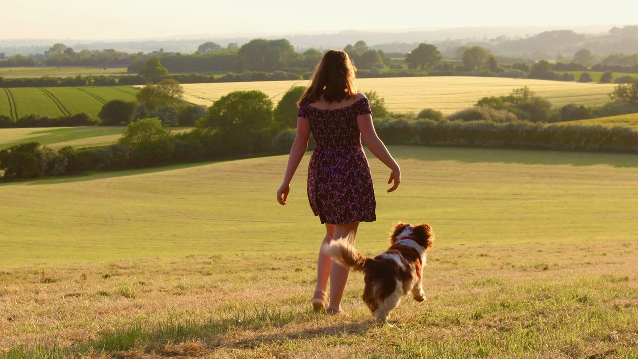 Photo of Others in Farthinghoe