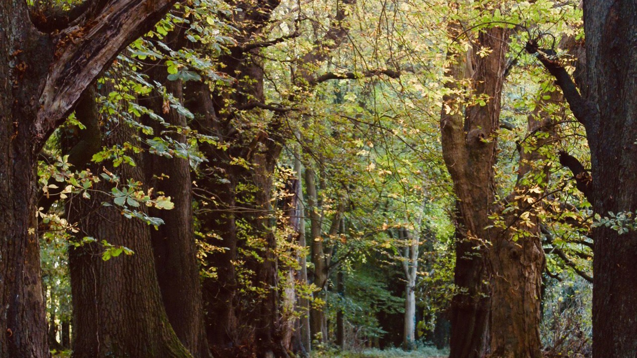 Photo of Others in Farthinghoe