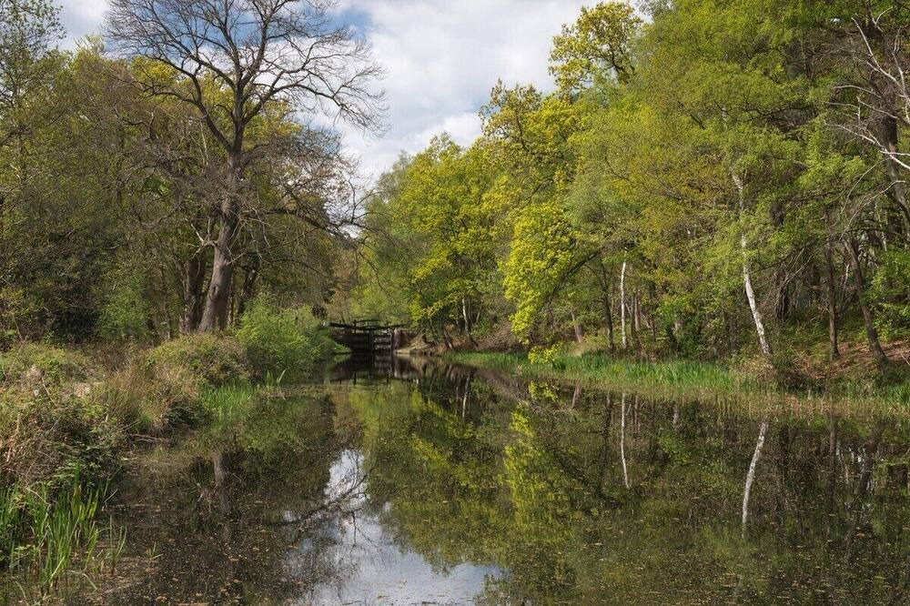 Photo of Others in Woking