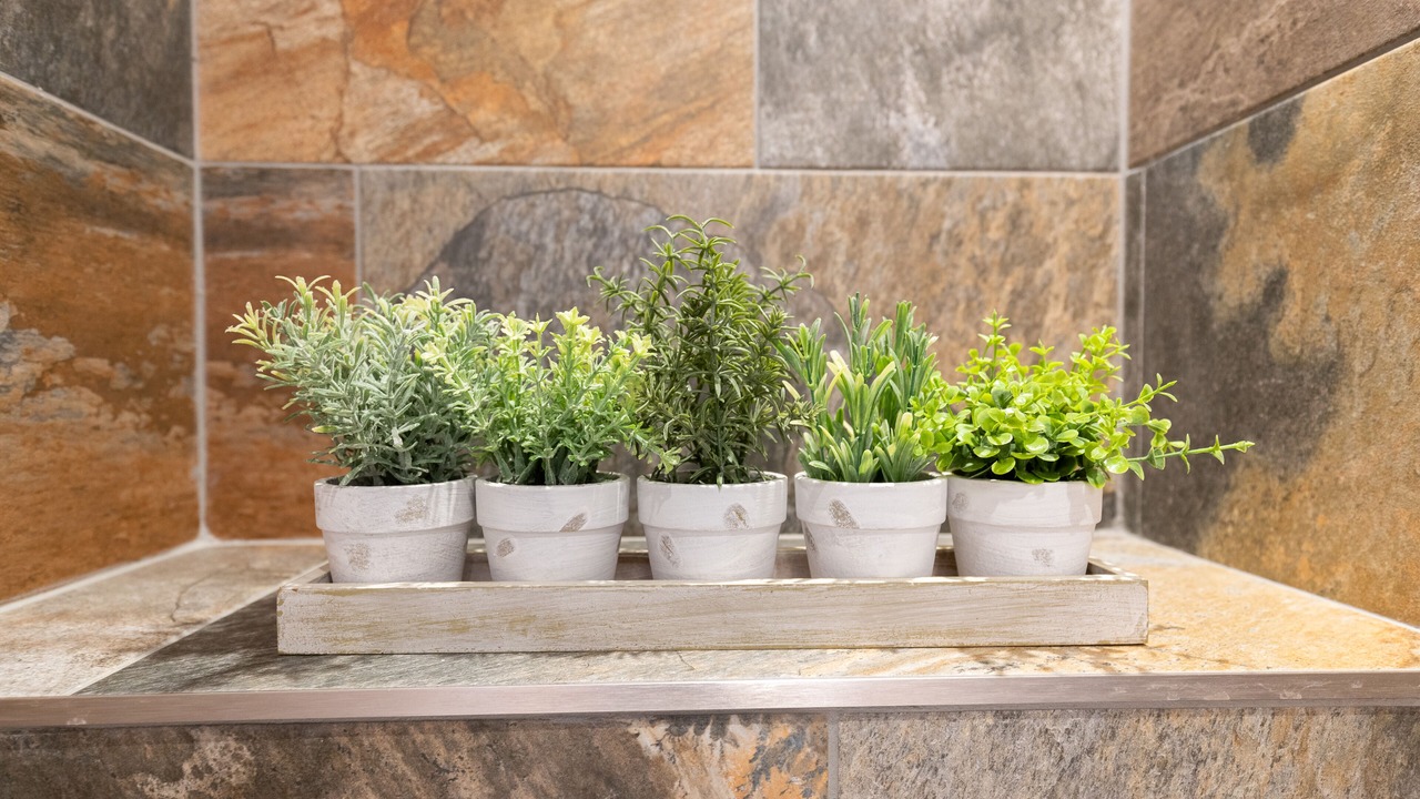 Photo of Others in Eastgate