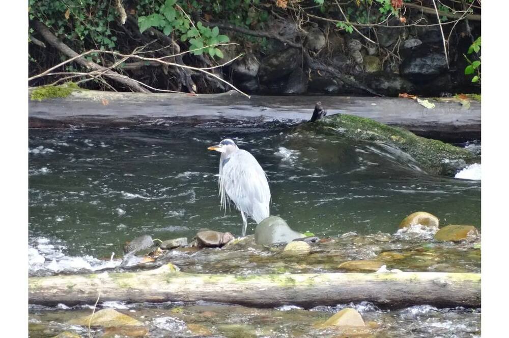 Photo of Others in Hobart