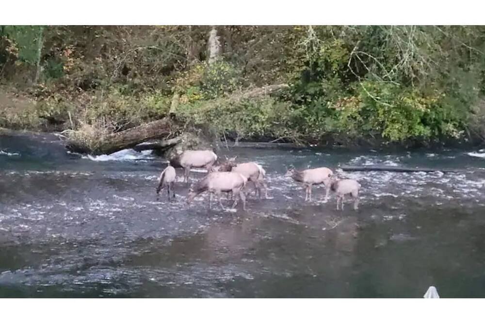 Photo of Others in Hobart
