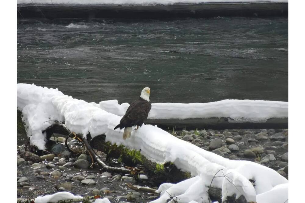 Photo of Outdoor in Hobart