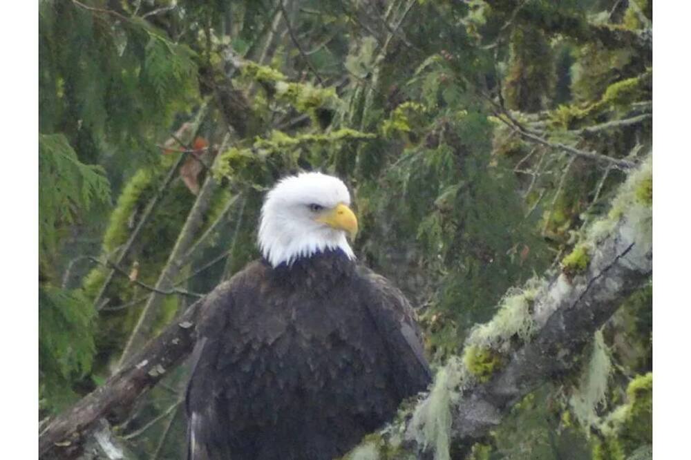 Photo of Outdoor in Hobart