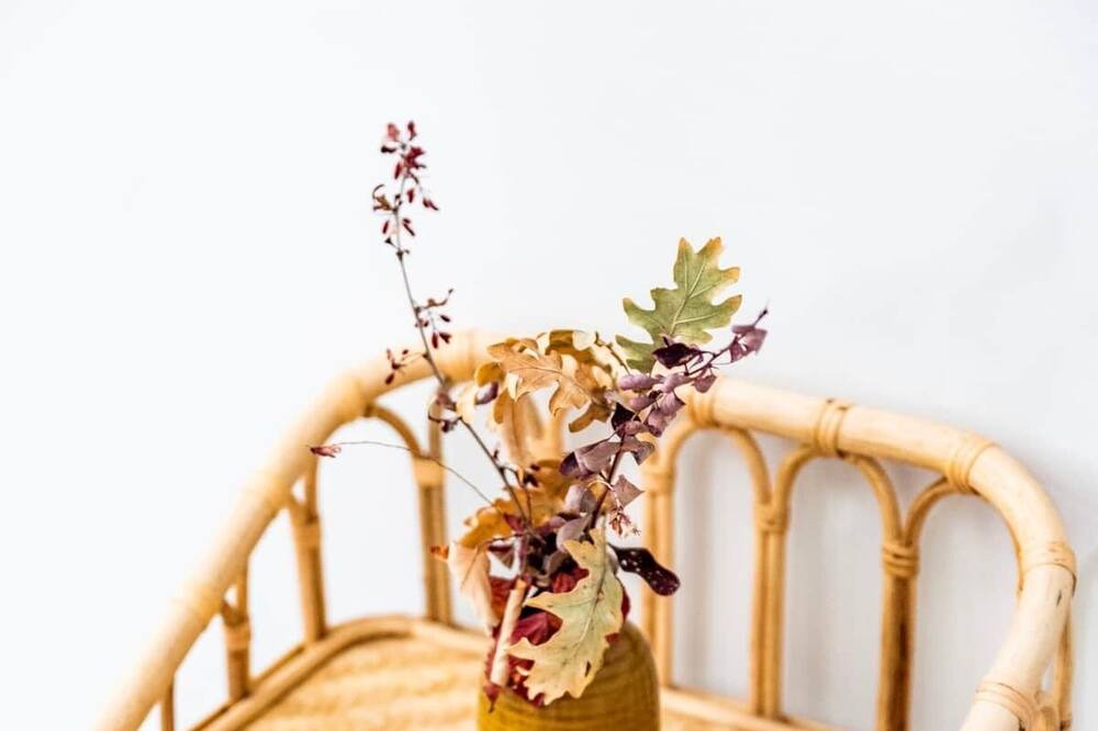 Photo of Others in Truinas