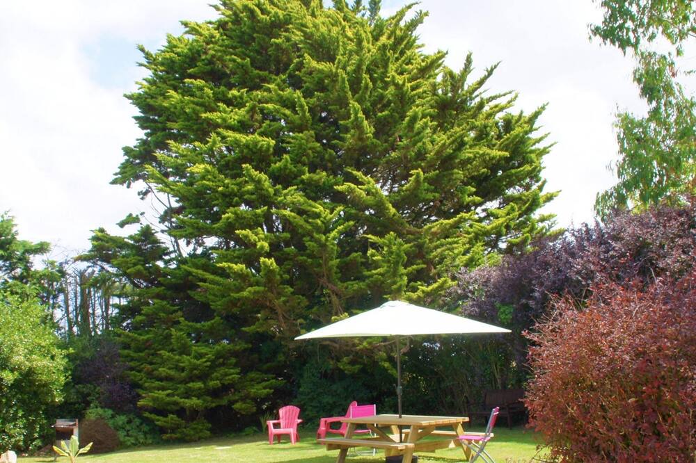 Photo of Outdoor in Saint-Pol-de-Leon