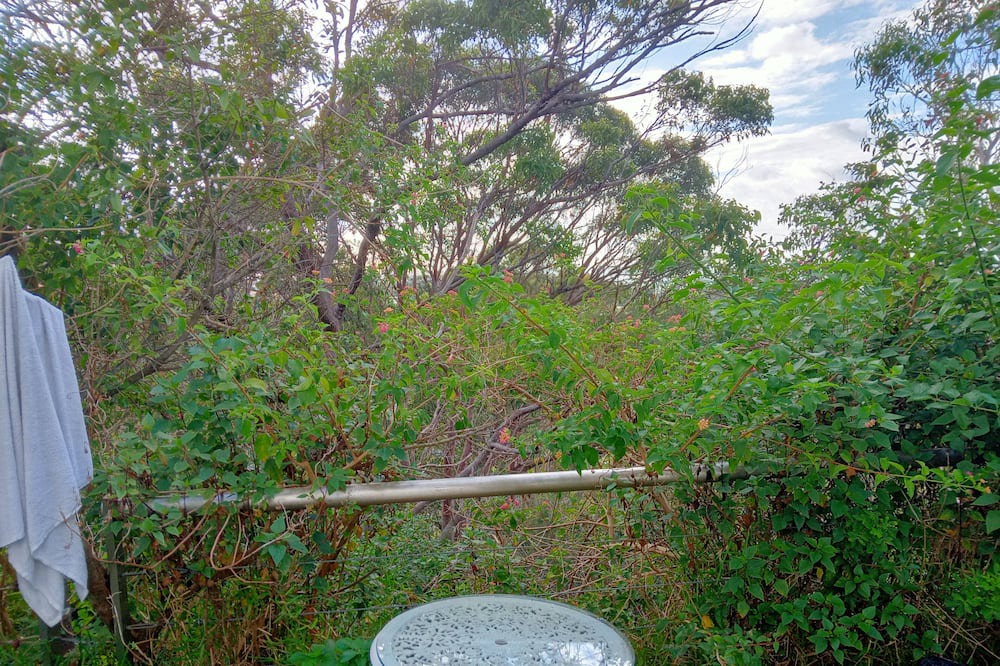 Photo of Outdoor in Brookvale