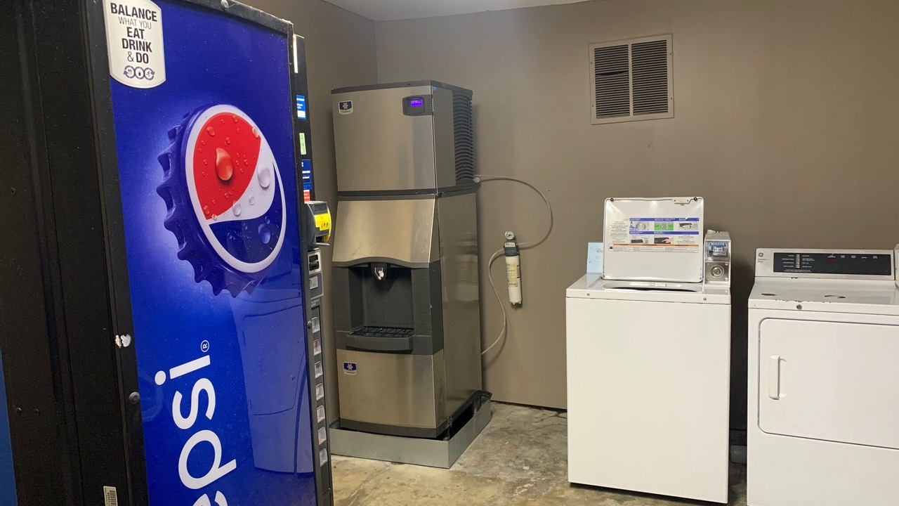 Photo of Others in Wynne