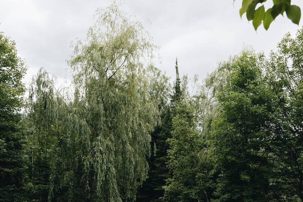 Photo of Outdoor in Saint Come