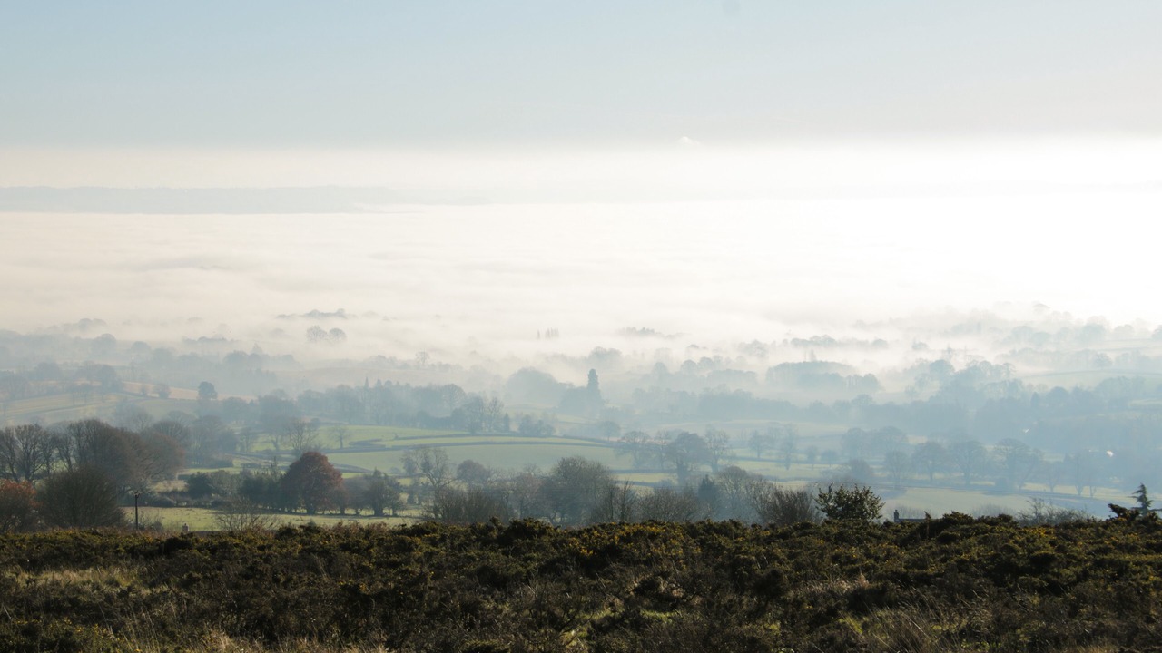 Photo of Others in Abberley