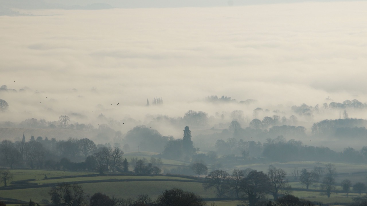 Photo of Others in Abberley