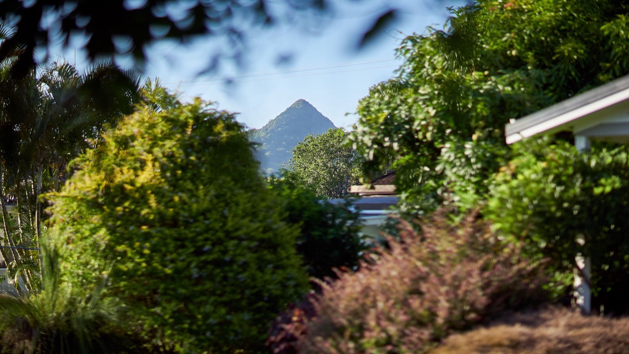 Photo of Outdoor in Mullumbimby