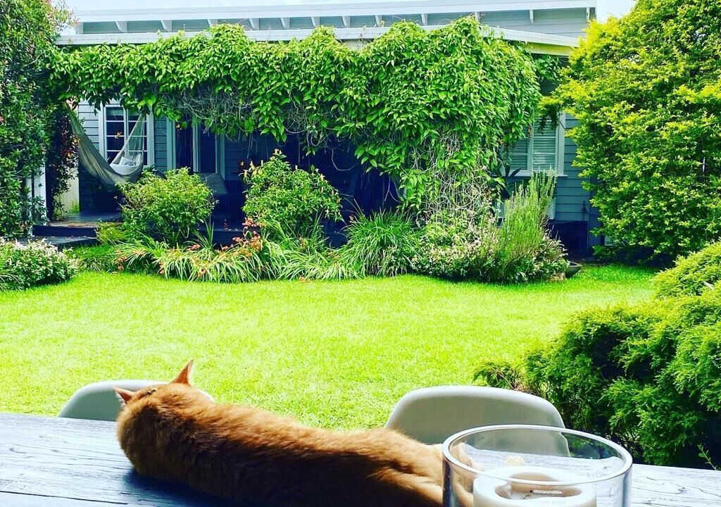 Photo of Outdoor in Mullumbimby