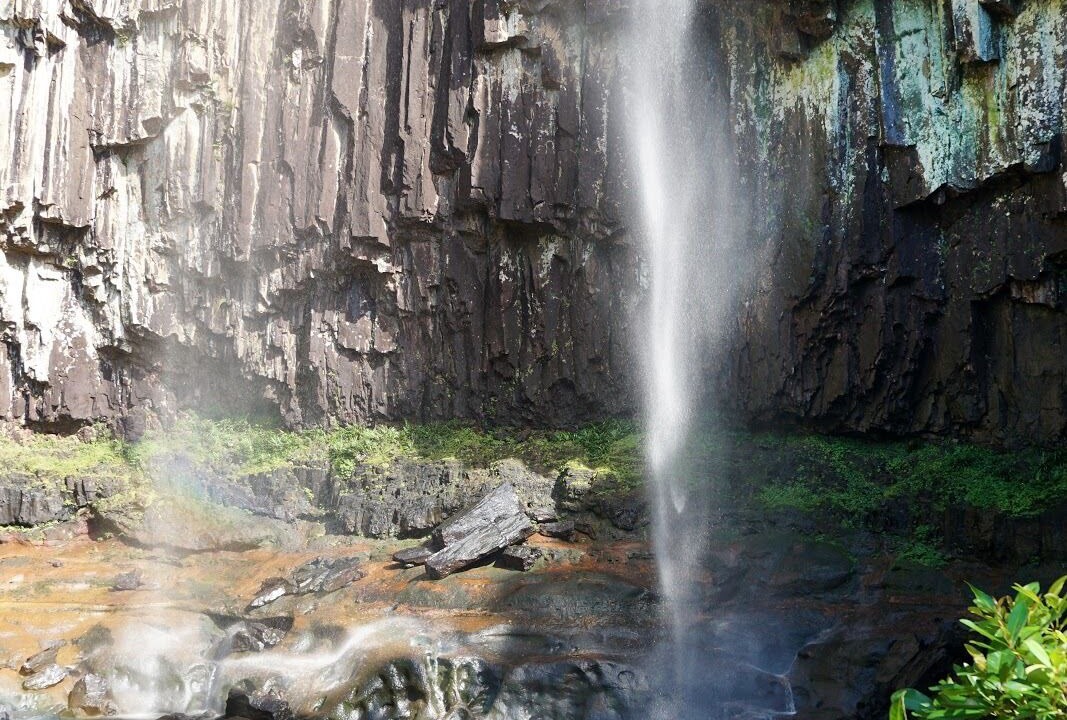 Photo of Outdoor in Mullumbimby