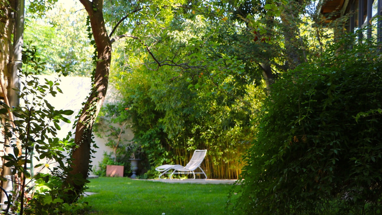 Photo of Outdoor in Cournonterral