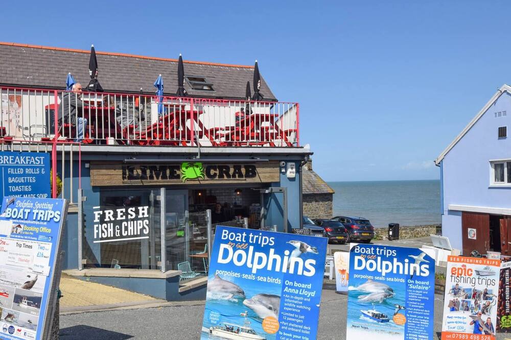 Photo of Outdoor in Llanarth