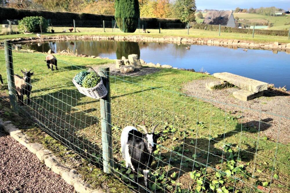 Photo of Outdoor in Authieux-Ratieville