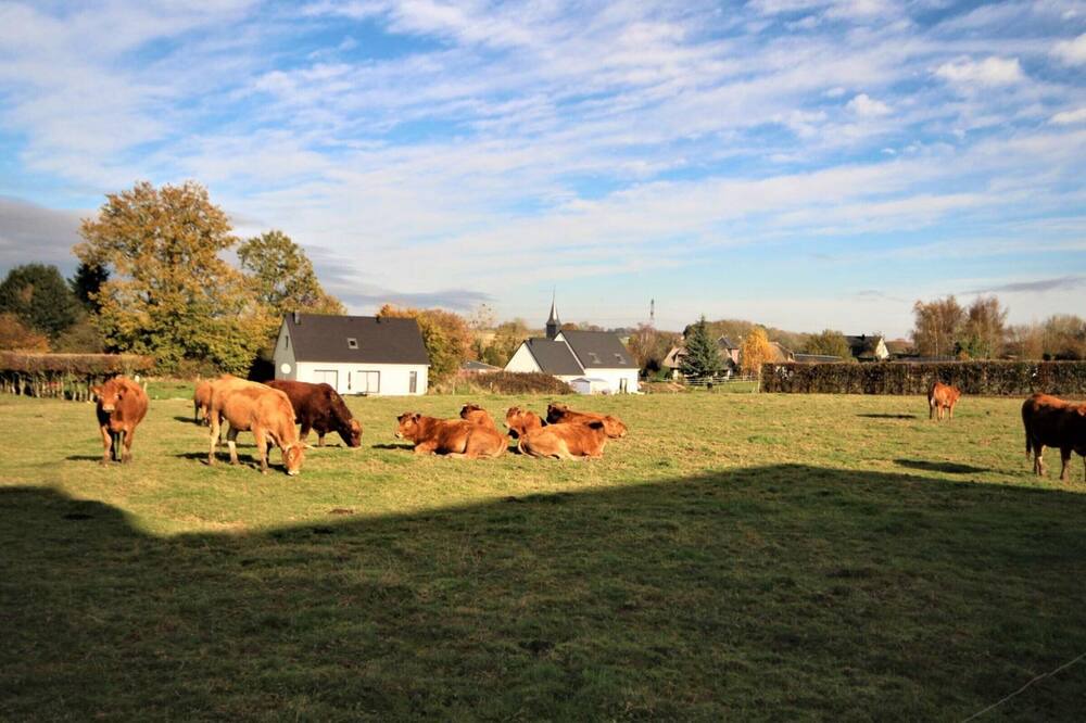 Photo of Outdoor in Authieux-Ratieville