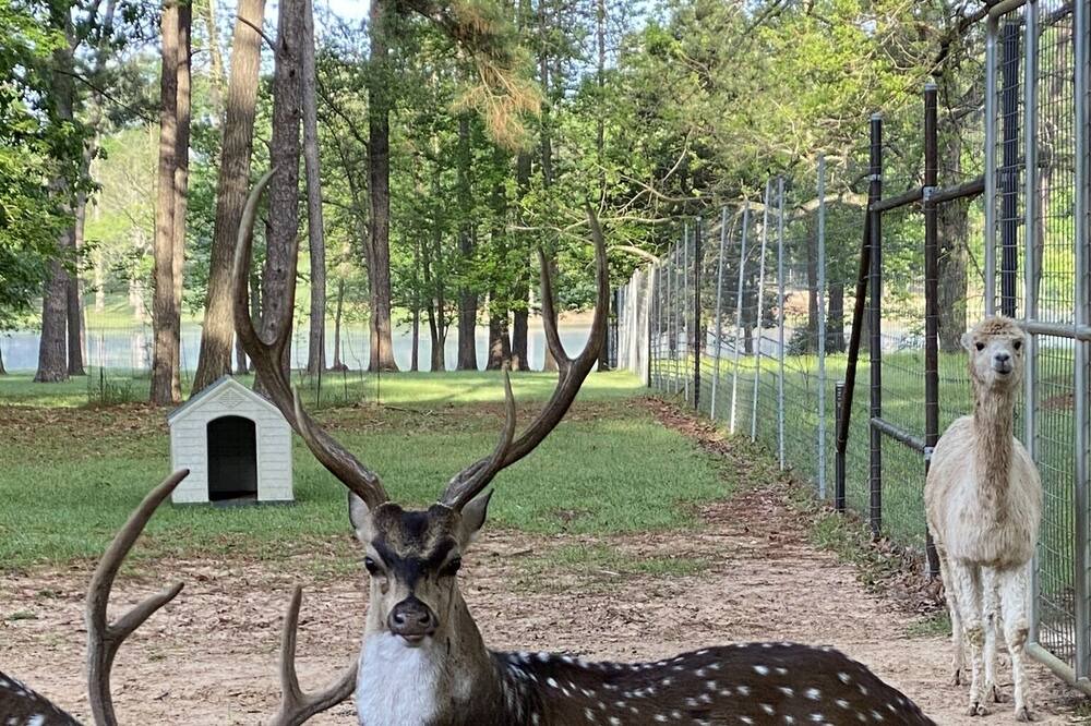 Photo of Outdoor in Montgomery