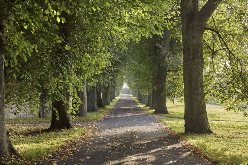 Photo of Outdoor in Melksham