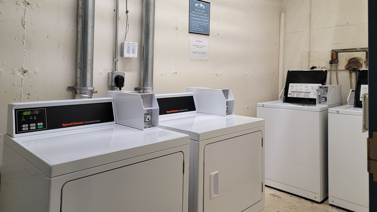 Photo of Others in Londonderry