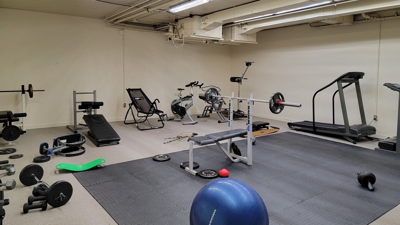 Photo of Others in Londonderry