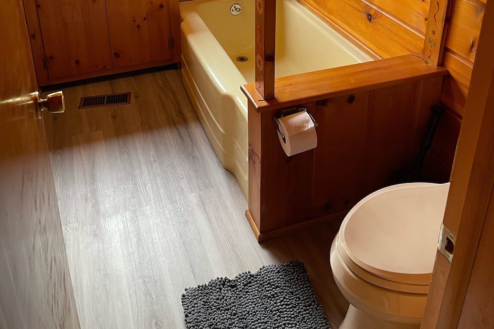 Photo of Bathroom in Alanson