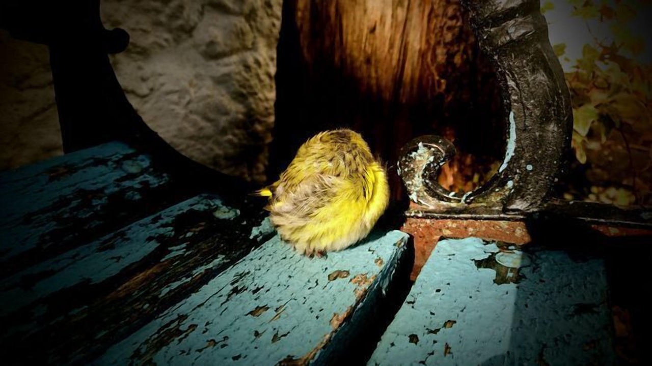 Photo of Outdoor in Stronmilchan