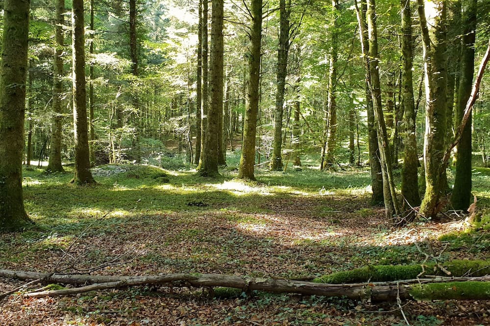 Photo of Outdoor in Besain