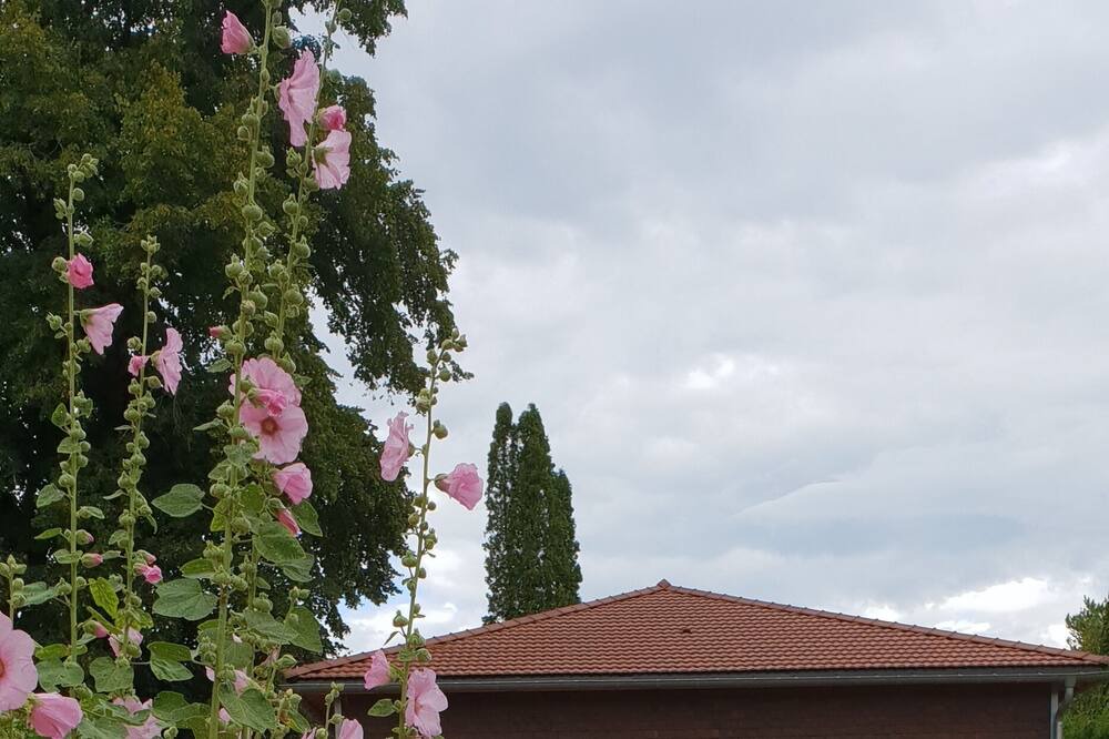 Photo of Outdoor in Besain
