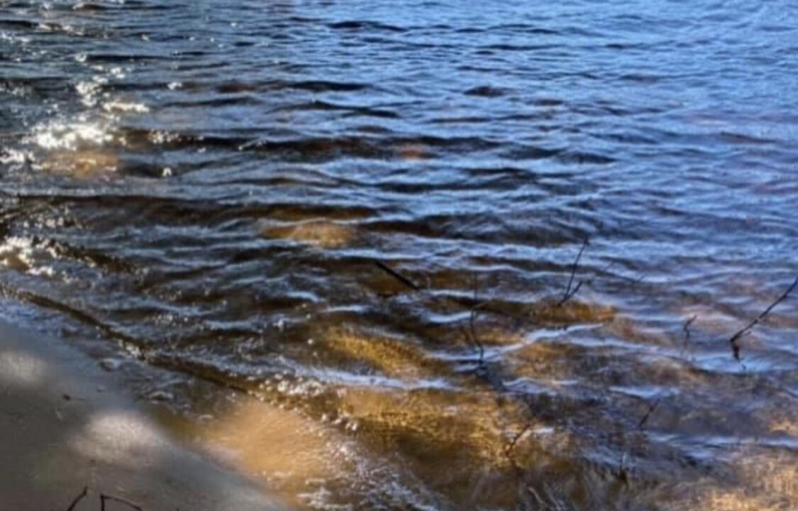 Photo of Others in Lake Arrowhead