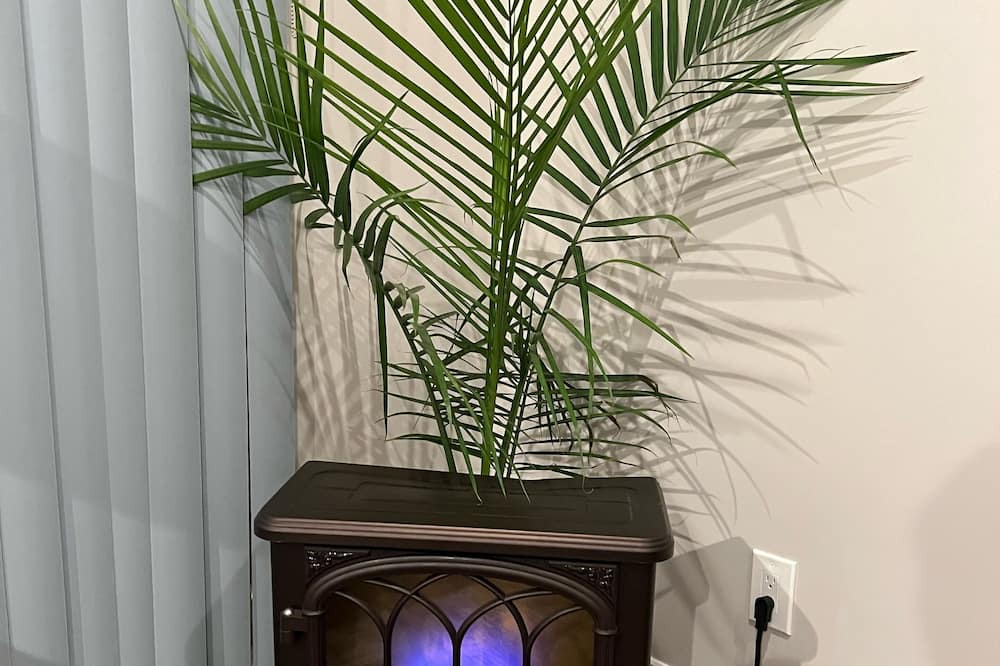 Photo of Livingroom in Northport