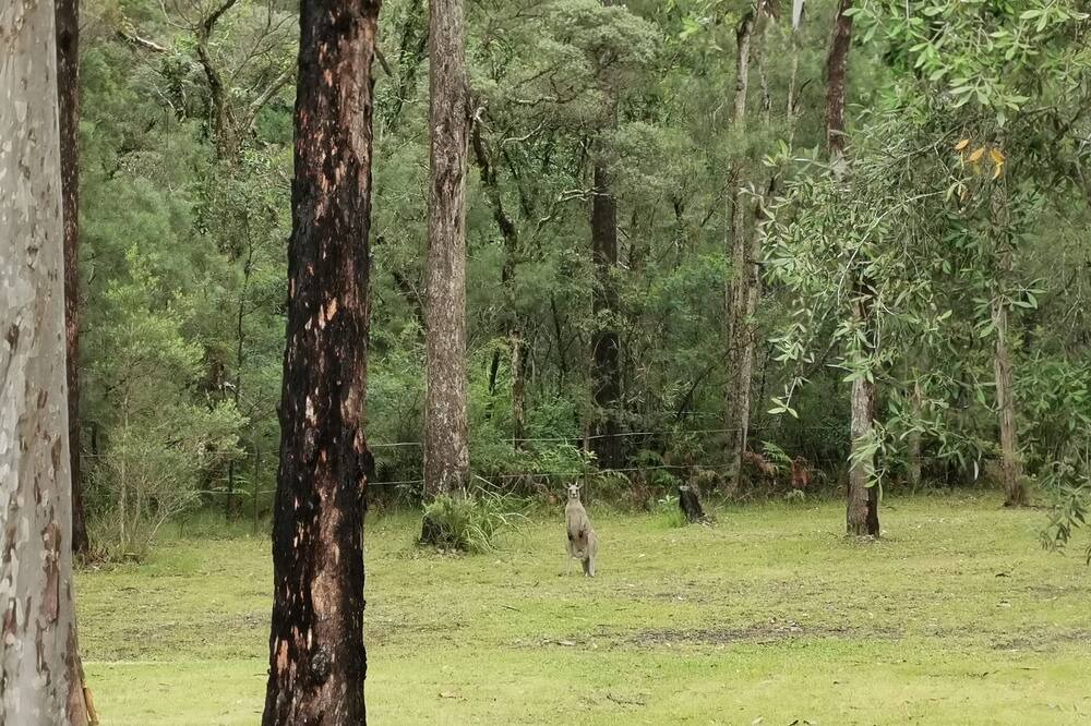Photo of Outdoor in Basin View