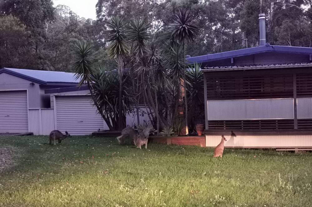 Photo of Others in Basin View