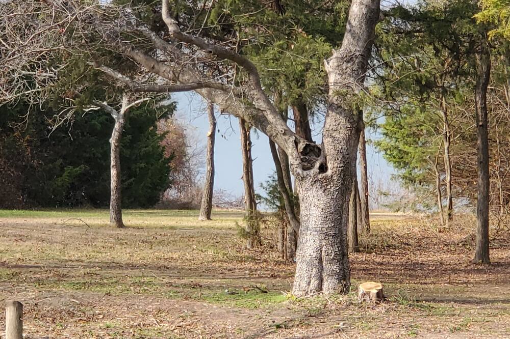 Photo of Outdoor in Farmersville