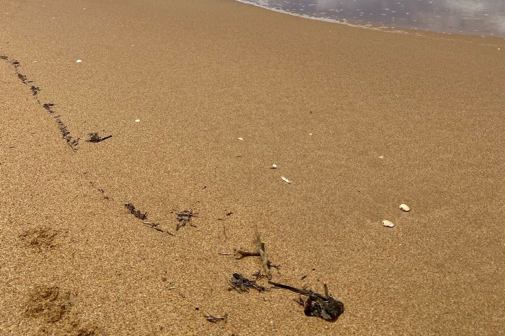Photo of Others in Paradise Beach