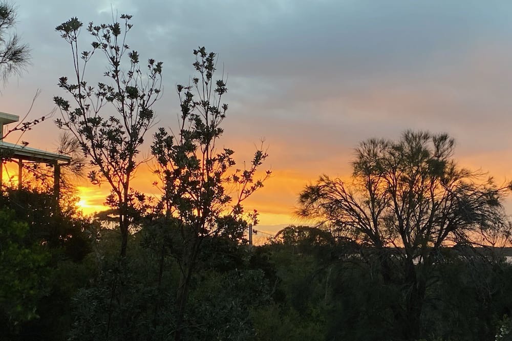 Photo of Outdoor in Paradise Beach