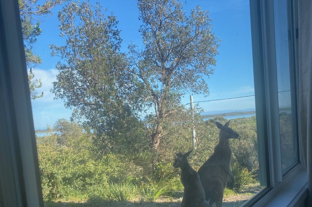 Photo of Others in Paradise Beach