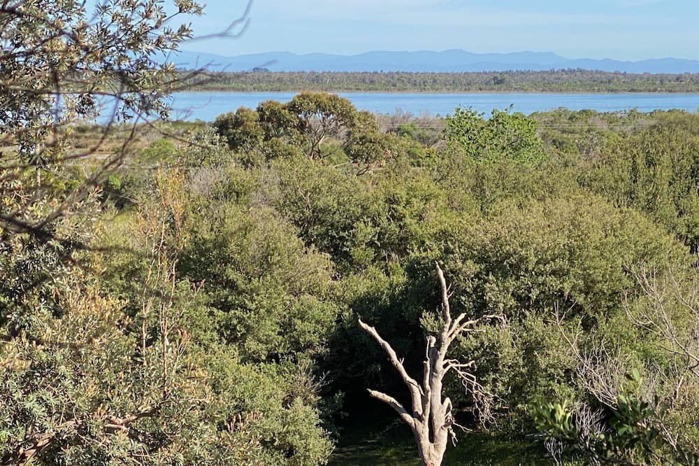 Photo of Outdoor in Paradise Beach