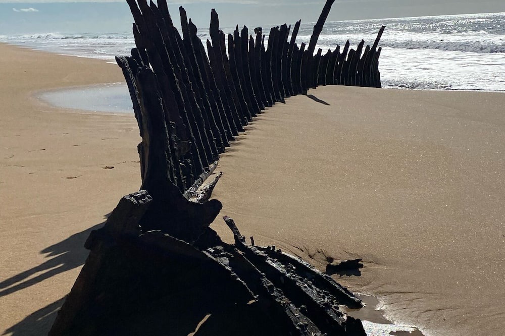 Photo of Others in Paradise Beach