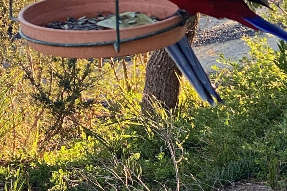 Photo of Outdoor in Paradise Beach