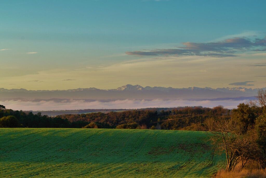 Photo of Others in Verdun-en-Lauragais