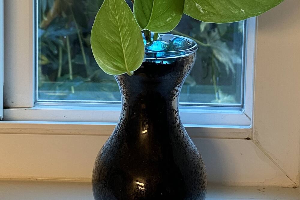 Photo of Others in Santa Rosa