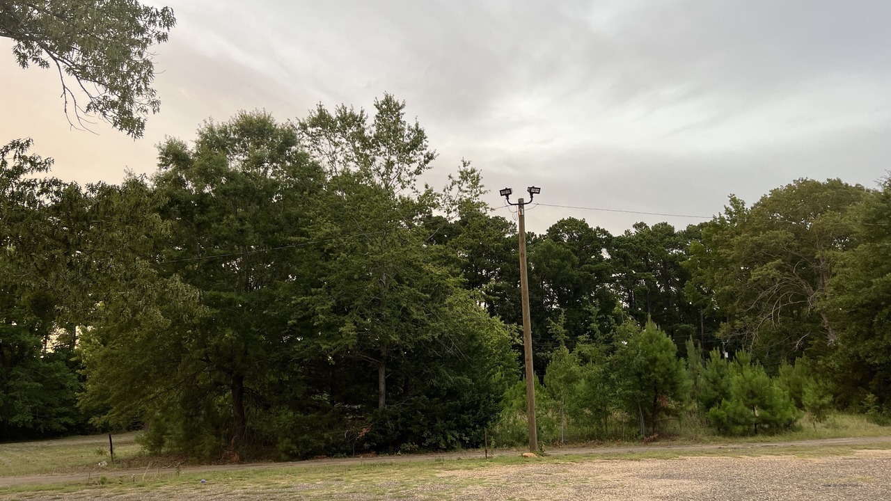 Photo of Outdoor in Zwolle
