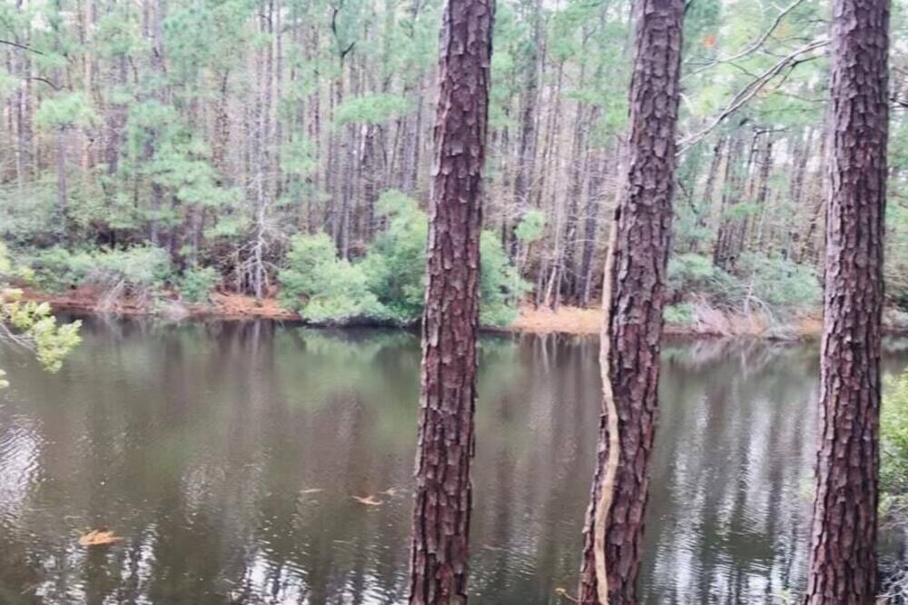 Photo of Others in Huntsville